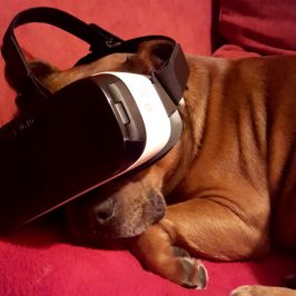 Best VR 2016