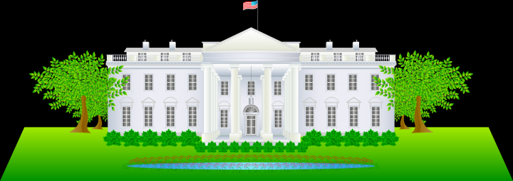 Road to White House Voki
