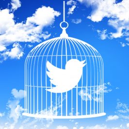 Pondering the Future of Twitter