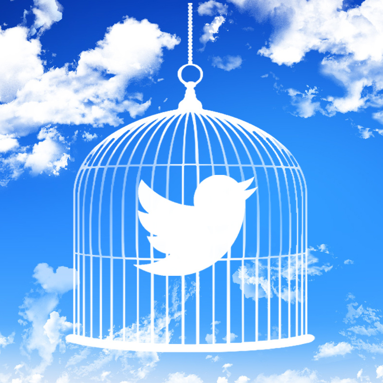 Pondering the Future of Twitter